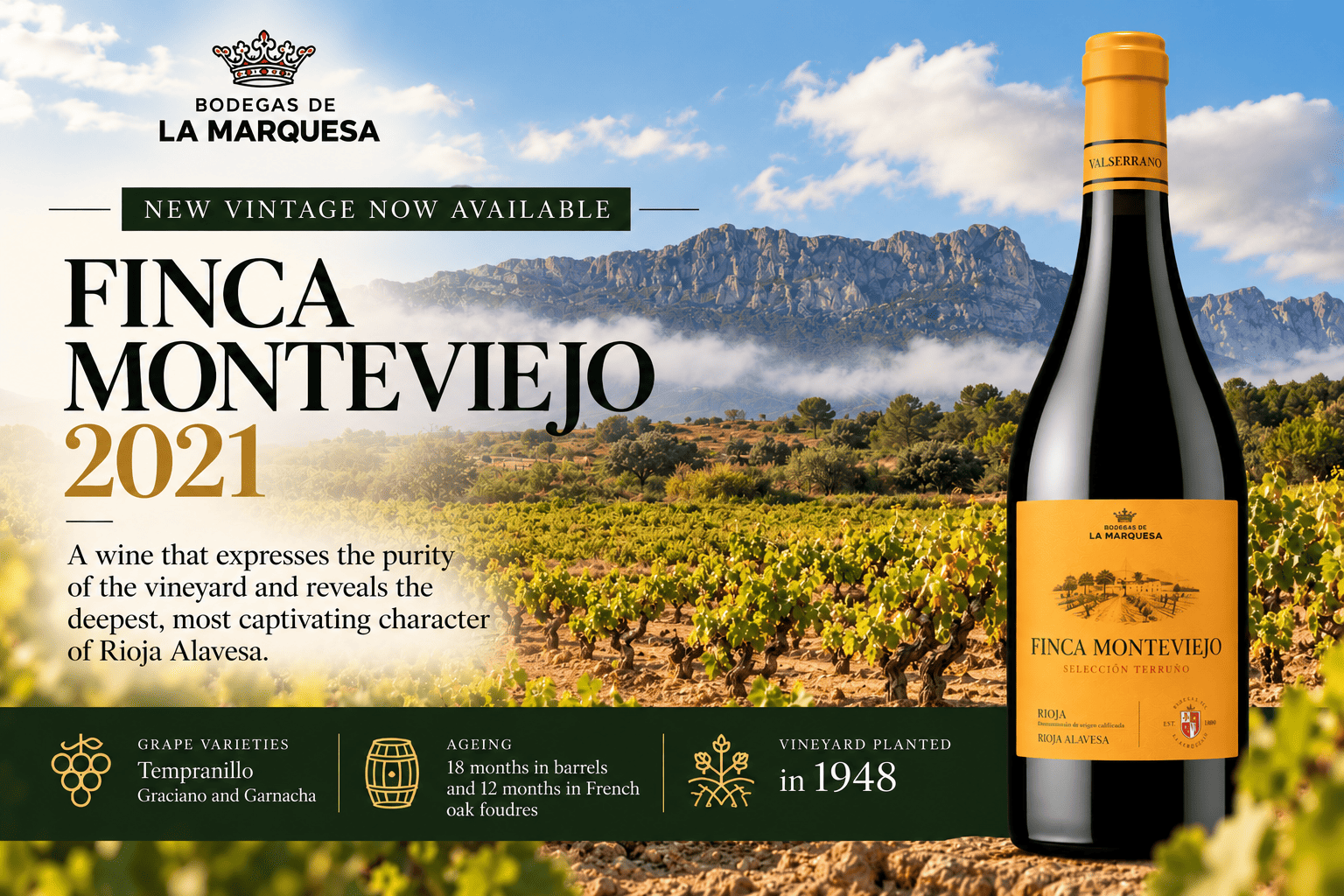 Finca Monteviejo_ Viñedos de Rioja Alavesa